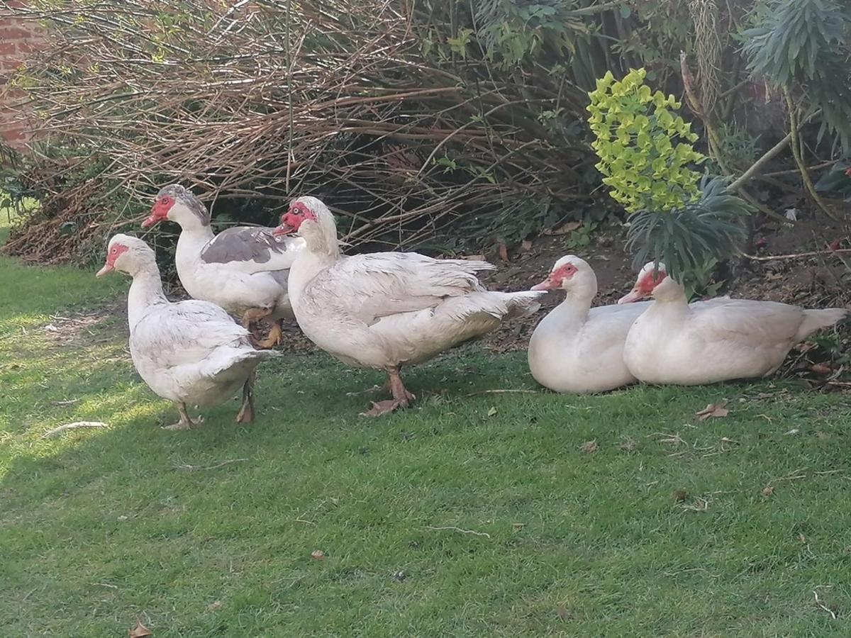 Clumber Lane End Farm Bed & Breakfast Worksop Ngoại thất bức ảnh